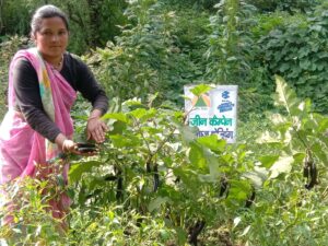 Establishing Nutrition Gardens