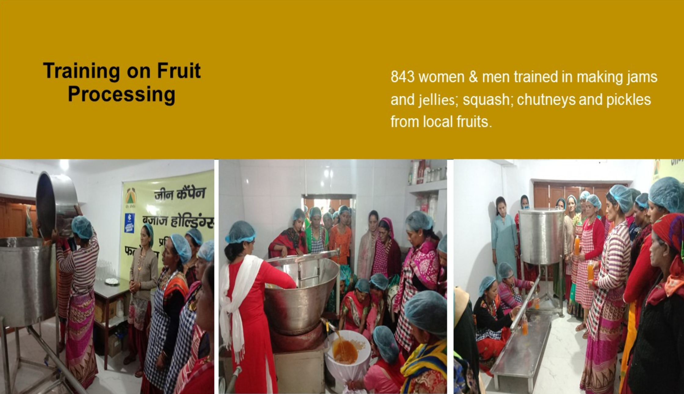 Training on fruit Value addition