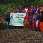 establishing the system of millet intensification(SMI)