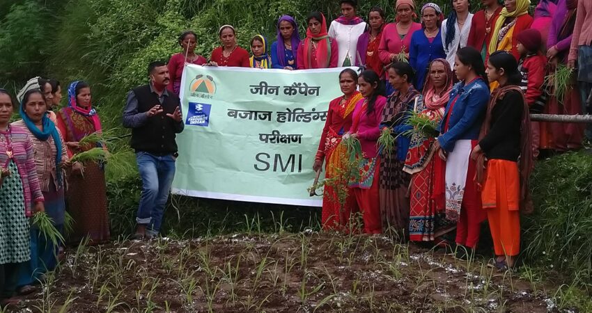 establishing the system of millet intensification(SMI)