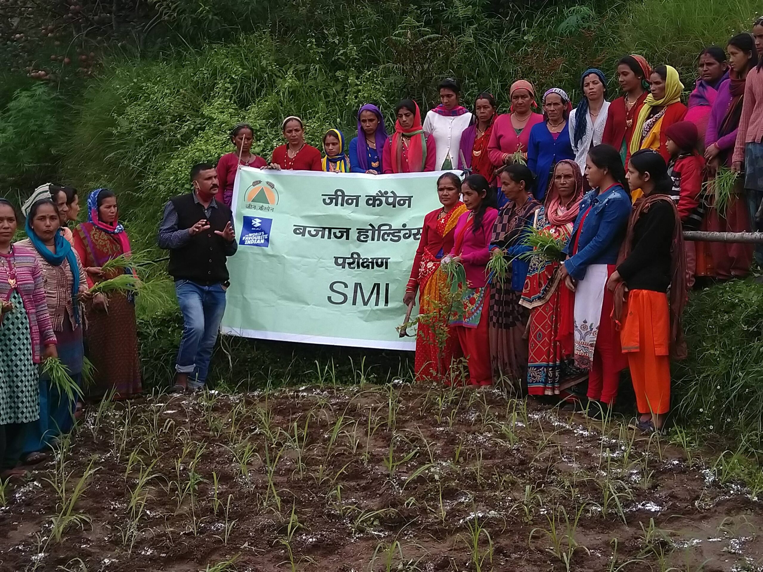 establishing the system of millet intensification(SMI)