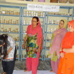 12-training-on-maintaining-seed-collection-and-seed-bank-2