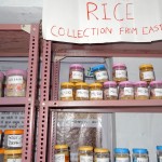 8-rice-collection-from-eastern-india-2